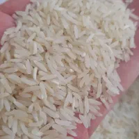 ارزان سرای برنج یاس کالا برگ از امروز طبق روال
