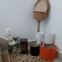 باکس وگل