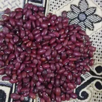 لوبیا قرمز
