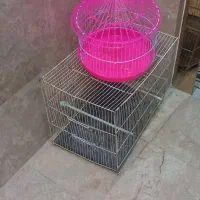 قفس پرنده