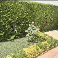 استخدام کارگر باغبان فضای سبز ویلای خزرشهر