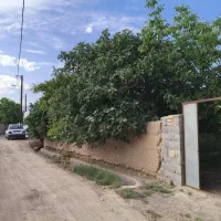 باغ سرسبز مهریز (یزد)