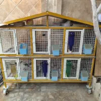 فروش تعدادی قفس پرنده
