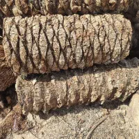 صندلی چوبی|صندلی و نیمکت|طبس, |دیوار