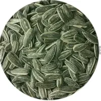 تخمه بساطی پیاز جعفری گلپر نمکی