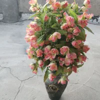 گل و گلدان