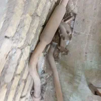 منیفولد فابریک و ومنبع وسط