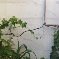فروش خانه ویلایی ۷۵متر