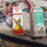 مرغ عشق|پرنده|الیگودرز, |دیوار