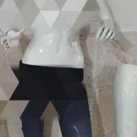 مانکن و رگال