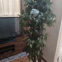 گل مصنوعی