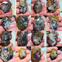 انواع اویزی شجر سوزنی بدون واسطه