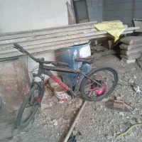 دوچرخه مکس فروشی