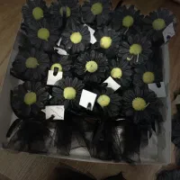 گیفت شمع بابونه