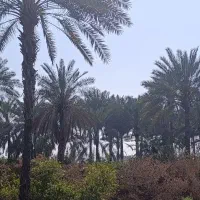 باغ۹۹۰۰متری