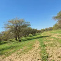 فروش1100 متر زمین در تنگک 3