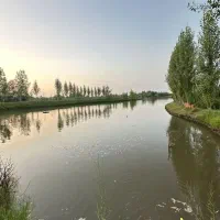 ویلایی ۱۸۷ متری خیابان فلسطین