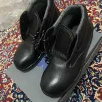 دوجفت پوتین ایمنی نو