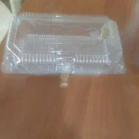 ظرف یکبار مصرف بزرگ