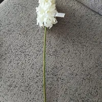 ۱ شاخه گل سنبل نوی نو