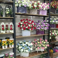 باکس گل بله برون تولد نوزاد وخاستگاری وغیره