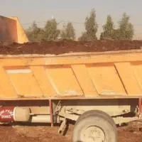 کود حیوانی