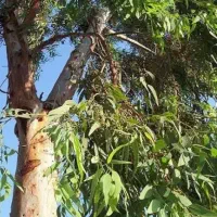 باغ-شهری-مناسب-سرمایه-گذاری