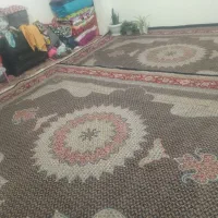 جفت۱۲متری۷۰۰شانه
