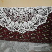 ۲ جفت پشتی