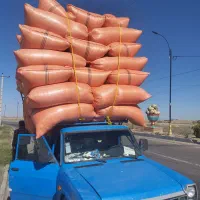 نیازمند نیسان با راننده