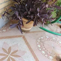 گل با گلدون