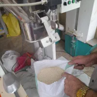 برنج هاشمی گیلان اصل مستقیم ازکارخانه