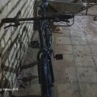 با سلام دوچرخه ۲۴ و ۲۰وخروس و خرگوش۱۶ کبوتر