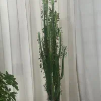 گل وگلدان