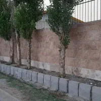 بنایی(دیوارچینی سیمان کاری چاه کنی)