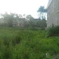 زمین مسکونی داخل شهر املش
