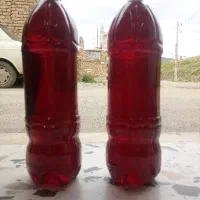 شربت گل سرخ +طراحی سایت+طراحی لوگو