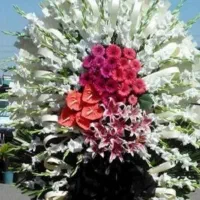 مداح مجالس ترحیم (مجهزبه سیستم صوتی)