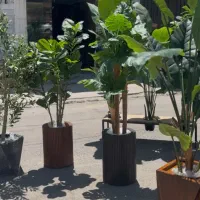 عرضه انواع درختچه مصنوعی دکوراتیو وارداتی