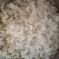 پخش برنج شمال به کالا برگ  برنج هاشمی ۲۵۰