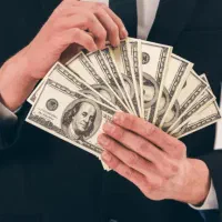 سرمایه گذاری دلاری، سود دلاری