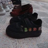 اسپورت