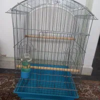 قفس کاسکو و طوطی