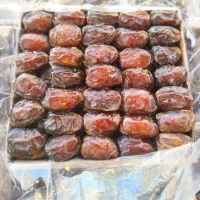 خرمای کبکاب خشت درجه ۱