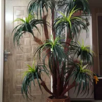 درختچه آناناس مصنوعی 9 شاخه بزرگ ، زیر قیمت