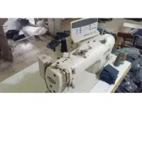 راسته دادلی