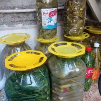 خیارشورتازه وانواع ترشی خانگی
