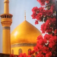 اعزام کاروانی به شهرزیارتی.امام.رئوف ایرانی واتباع