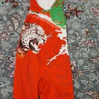 دوبنده کشتی قرمز