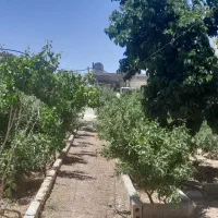 فروش یا معاوضه